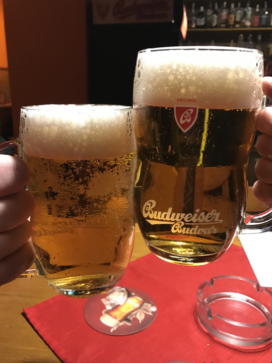 Cheers! Na zdraví! The Original Czech Budweiser Beer