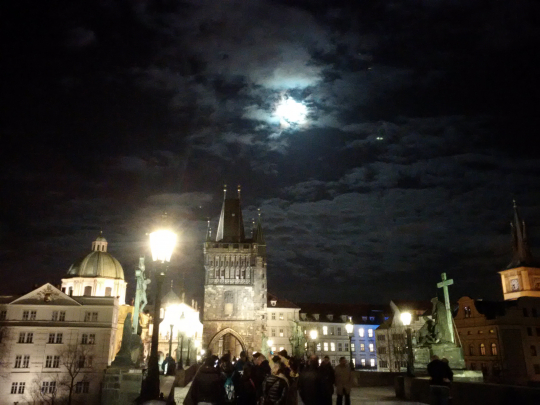 Winter Snowstorm on Charles Bridge