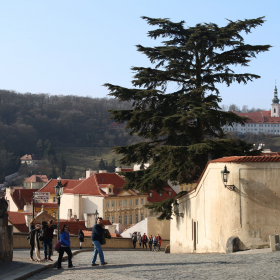 Strahov from Prague Castle