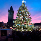 Christmas Tree, Sunset 