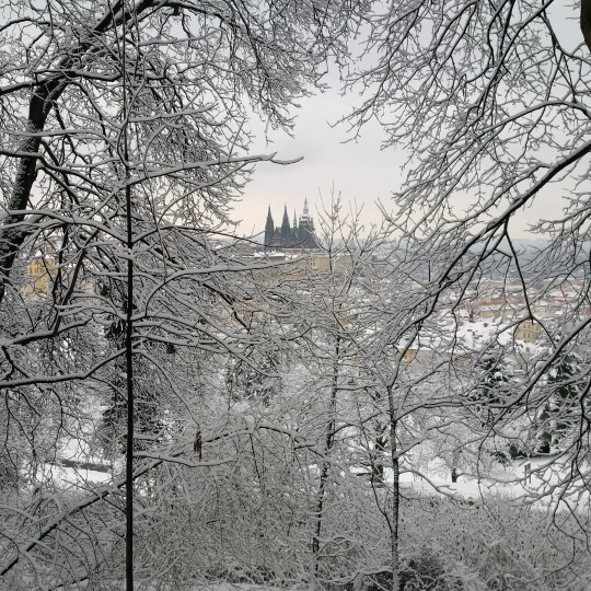 Prague Castle after Snowstorm